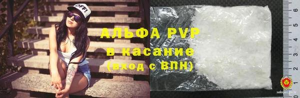 стафф Дмитриев
