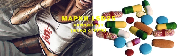 стафф Дмитриев