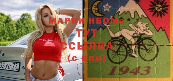 СК Ельня