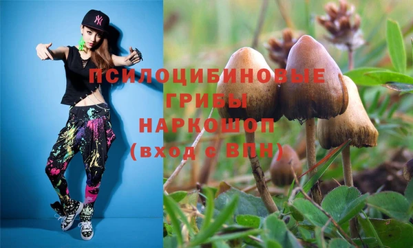 индика Елизово