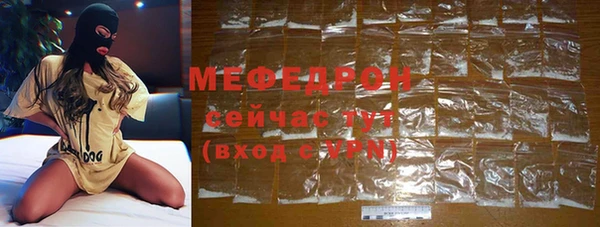 СК Ельня