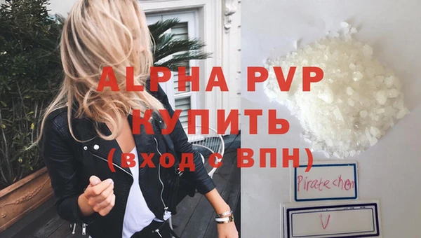 стафф Дмитриев