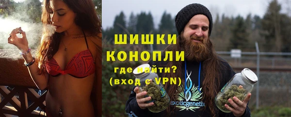 стафф Дмитриев