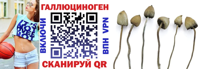 Псилоцибиновые грибы мухоморы  Купить  Чайковский 