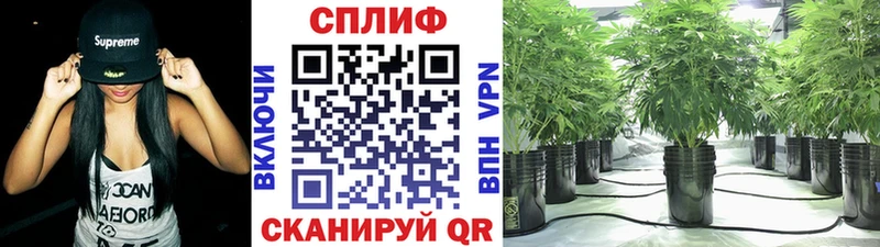 МАРИХУАНА план  Купить  Чайковский 
